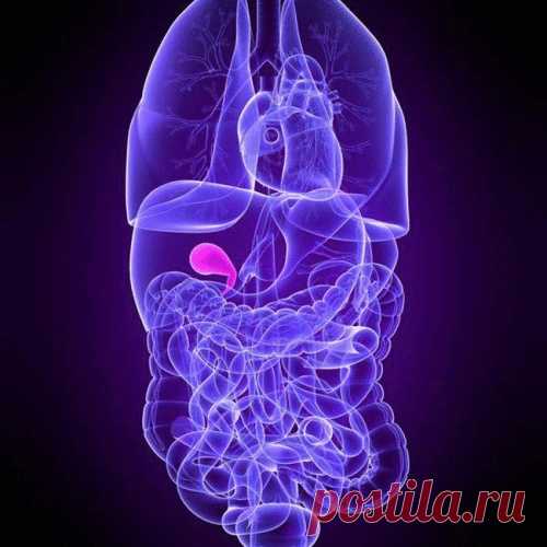 Застой желчи: как его избежать и как лечить...