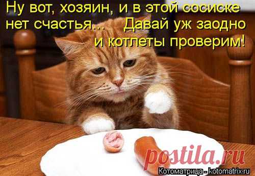 Тефтели подлежат утыризации | Домашняя кулинария