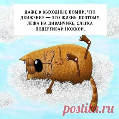" УЛЫБАКА НА ВЫХОДНЫЕ "