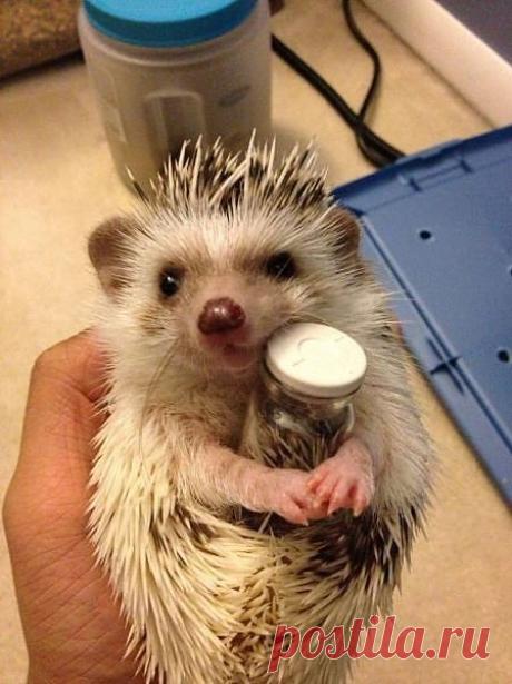 Мой Мир@Mail.Ru