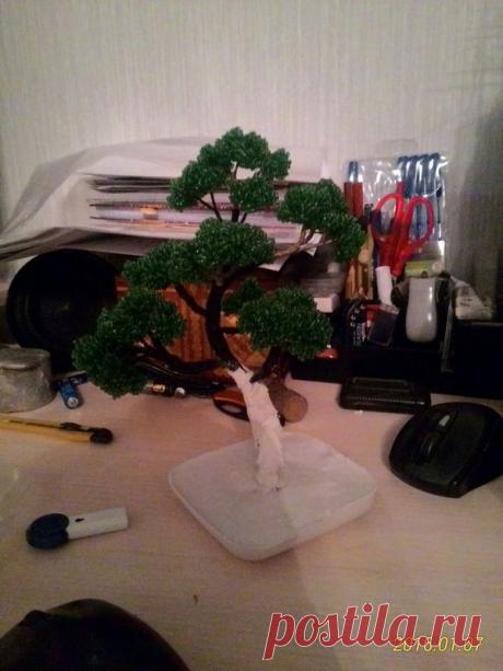 Бансай и мини дзен сад