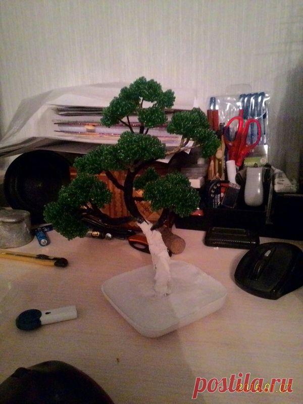 Бансай и мини дзен сад