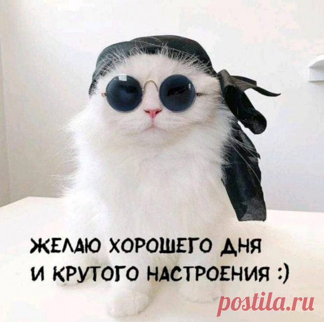 Желаю хорошего дня и крутого настроения
