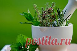 Лучшие статьи о правильном питании, фитнесе и здоровье - svetlana.vashuk61@mail.ru - Почта Mail.Ru