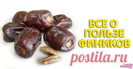 Финики — кладезь витаминов, почему стоит их добавить в свой рацион — Домашние