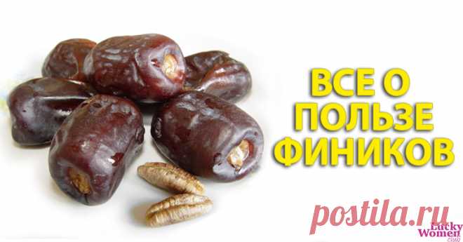 Финики — кладезь витаминов, почему стоит их добавить в свой рацион — Домашние