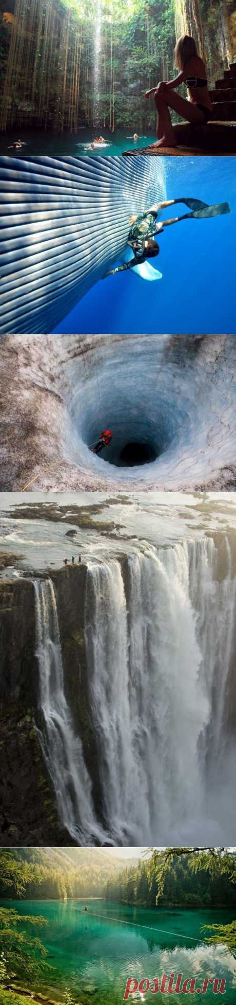 Жизнь прекрасна! / Всё самое лучшее из интернета