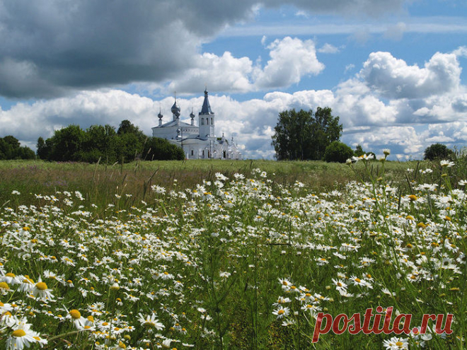 Ярославская область
