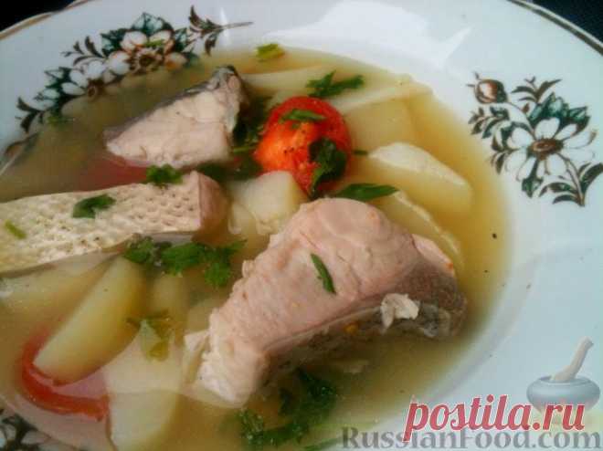 Рецепт: Уха из толстолобика на RussianFood.com