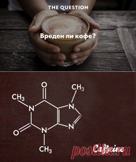 Полная история кофеина — ПУТЬ ДУШИ. Авторский сайт Юлии Якимович