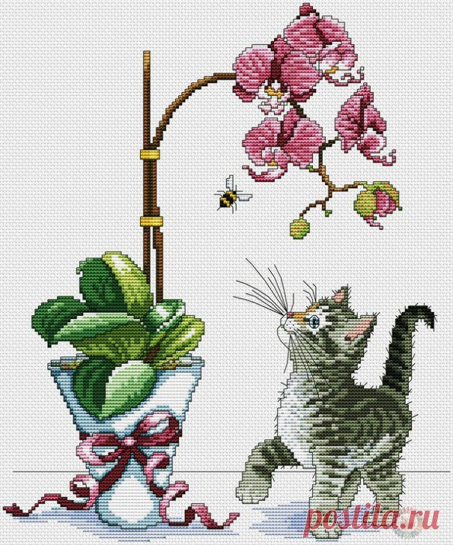 Котенок и орхидея | Все о рукоделии: схемы, мастер классы, идеи на сайте labhousehold.com