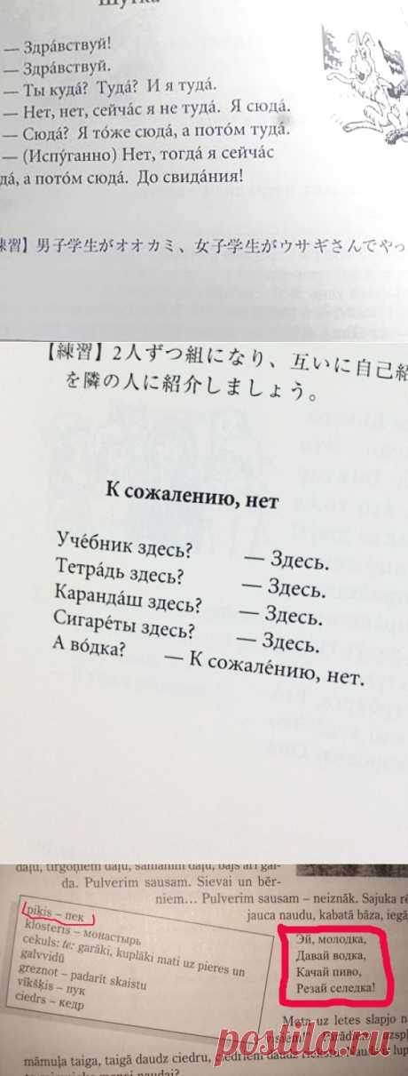 Сумасшедшие учебники русского для иностранцев