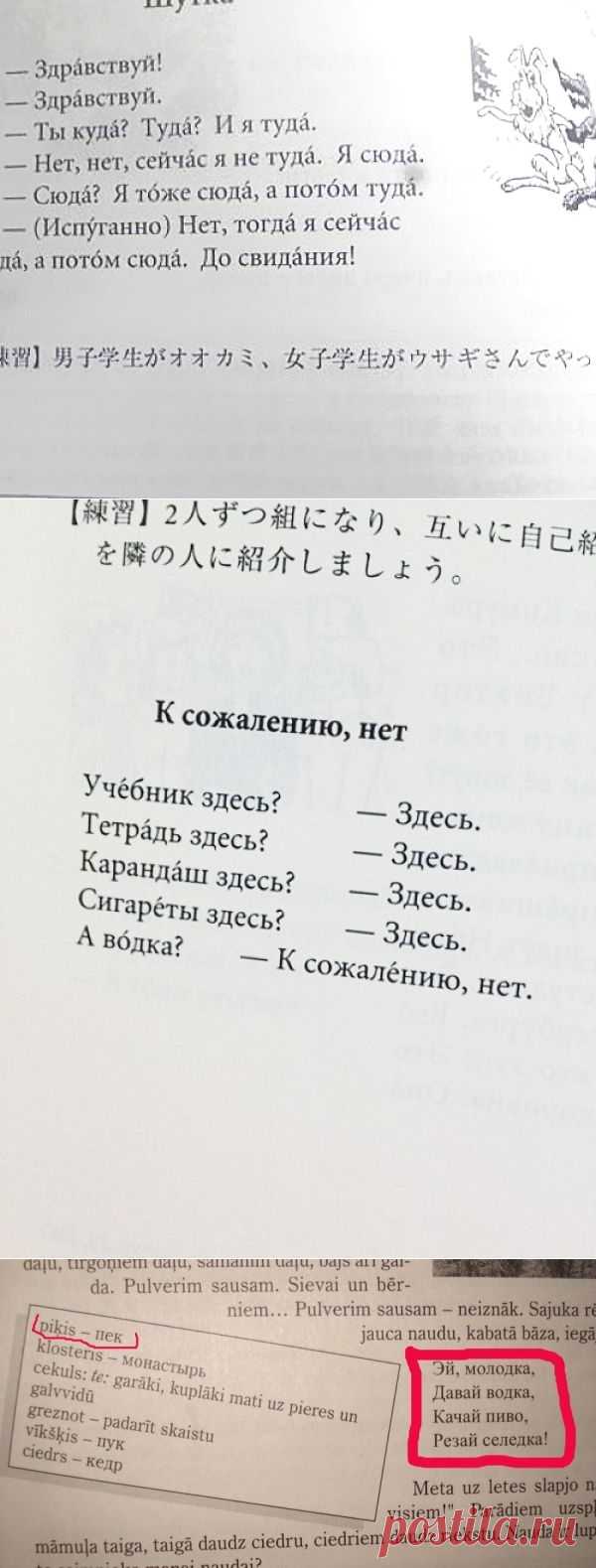 Сумасшедшие учебники русского для иностранцев