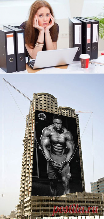 Работа того не стоит. Посмертное признание арт-директора из Новой Зеландии