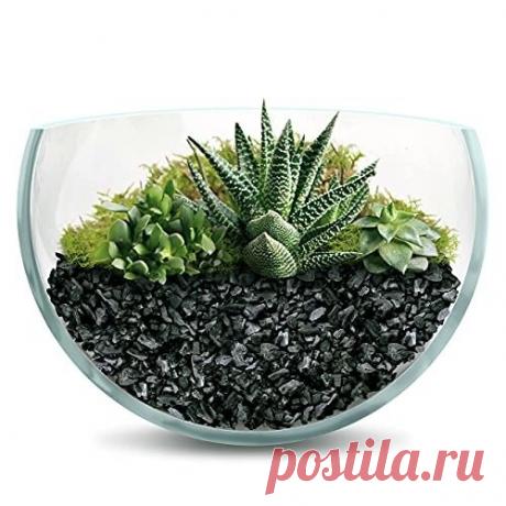 Полезен ли уголь для суккулентов? | Кактусач | Яндекс Дзен