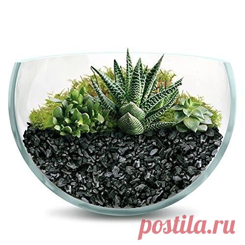 Полезен ли уголь для суккулентов? | Кактусач | Яндекс Дзен