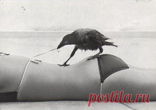 о белье