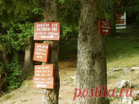 (5) Turistička Organizacija Žabljak