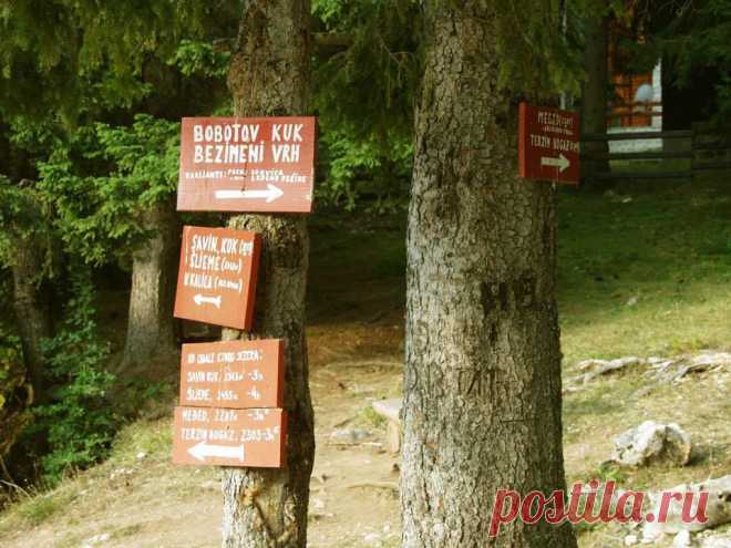 (5) Turistička Organizacija Žabljak