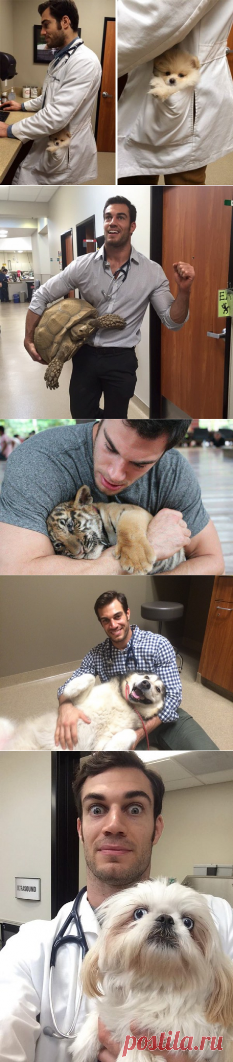 Сексуальный ветеринар покорил Интернет снимками с животными (30 фото)