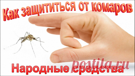 Как защиться себя от комаров