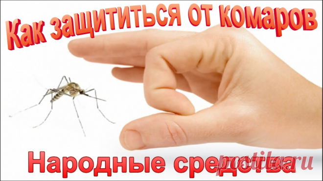 Как защиться себя от комаров