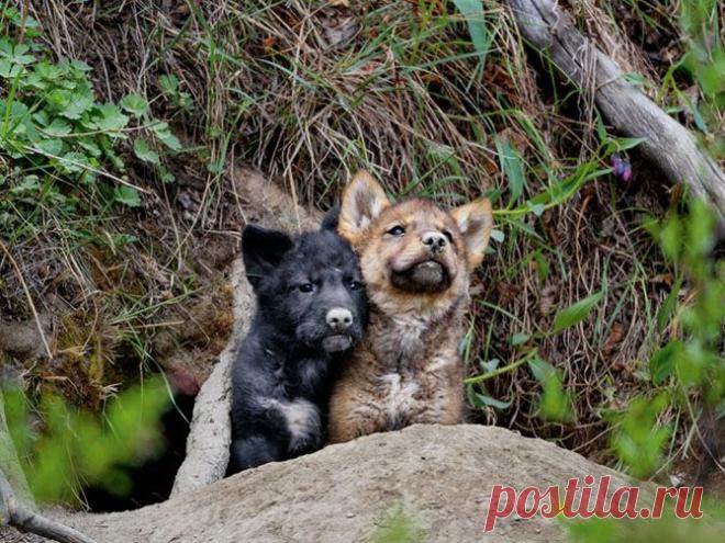 Лучшие фотографии марта 2014 года