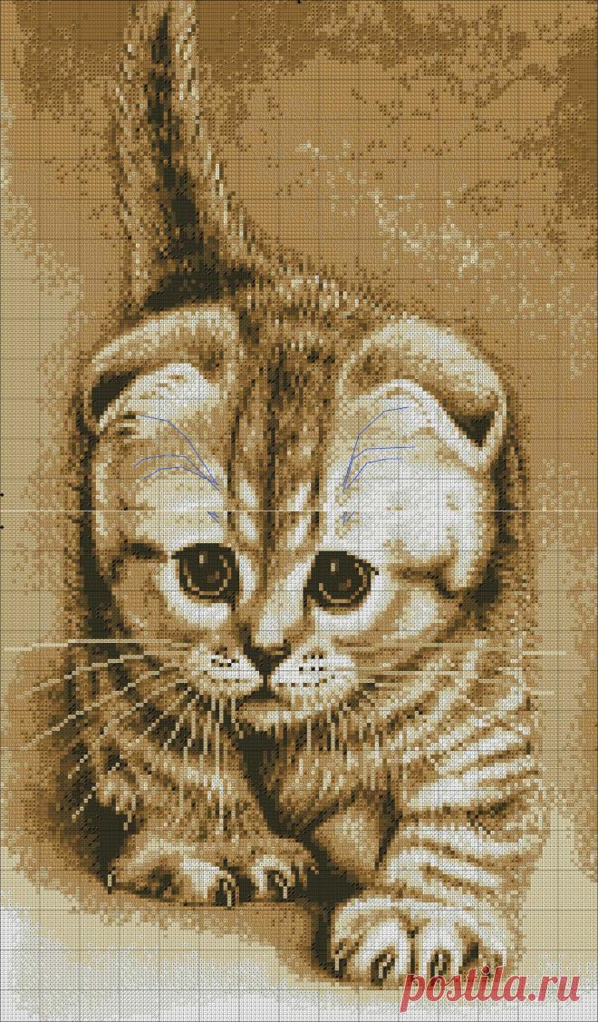 Схема для вышивки крестом: Котенок
