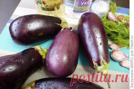 Баклажаны с чесноком на зиму (без стерилизации). Пошаговый рецепт с фото