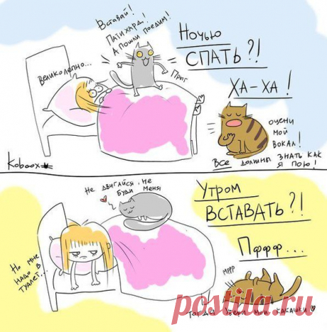 смешно
