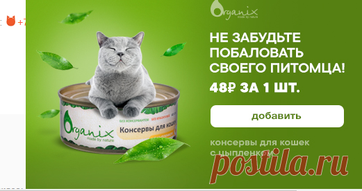 Корзина