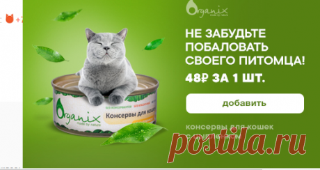 Корзина