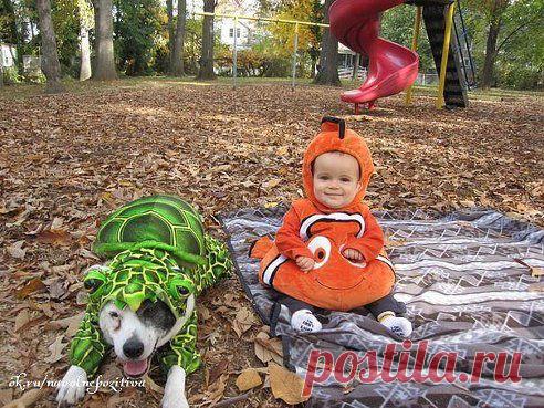 Черепаха и рыбка:)


-‘๑’- КлЁвЫе сТаТуСы И кАрТиНкИ -‘๑’- : Группа по интересам. Юмор : Одноклассники
Все самое лучшее в социальной сети находится у нас!