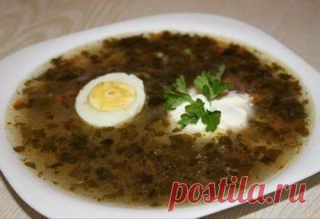 Интересные новости     ЗЕЛЕНЫЙ БОРЩ (ДИЕТИЧЕСКИЙ)