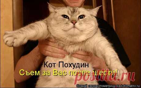 Тревожная кнопка ( котоматрица ) | Обхохочешься