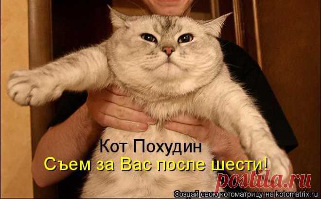 Тревожная кнопка ( котоматрица ) | Обхохочешься