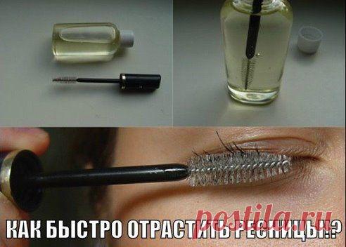 ЧУДО-СМЕСЬ ДЛЯ БЫСТРОГО РОСТА РЕСНИЦ!!!

Это невероятно, но это правда! Хотите?! Записывайте рецепт:
Продолжение смотри тут — ok.ru/w.secrets