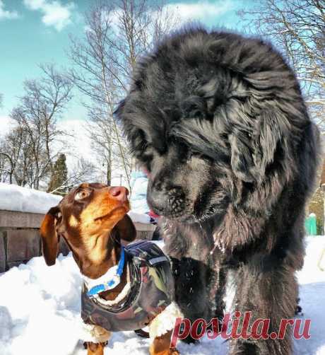Ну,как я тебе))