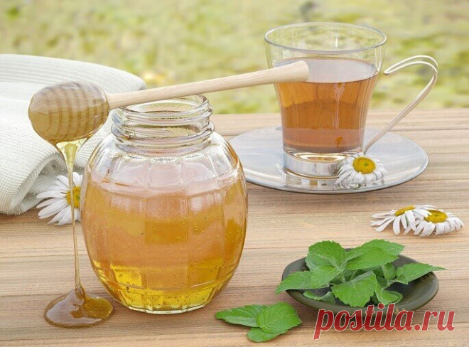 Что делать, если пропал аппетит?