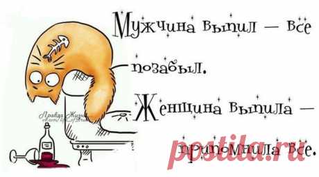 Воскресные картинки // ОПТИМИСТ