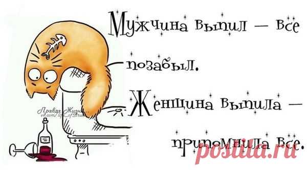 Воскресные картинки // ОПТИМИСТ