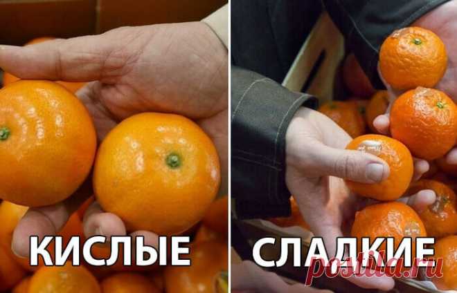 Кислый или сладкий: как узнать вкус мандаринов еще на прилавке Можно было бы пошутить, что самый простой способ проверить вкус мандаринов – это почистить и съесть один из них. Однако, едва ли такое можно провернуть прямо на рынке или в магазине. Тем более, что фрукт было бы не лишним помыть. Особенно на фоне хорошо известных всем событий в стране и мире. И все же существует несколько более или менее красноречивых показателей, по которым можно выявить кислые, невкусные манд...