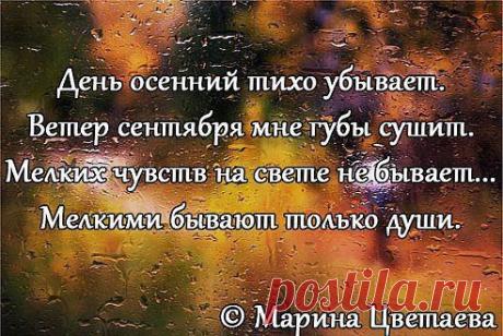 Мои закладки