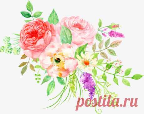 beautiful floral watercolor peony flower cluster More than 3 million PNG and graphics resource at Pngtree. Find the best inspiration you need for your project.