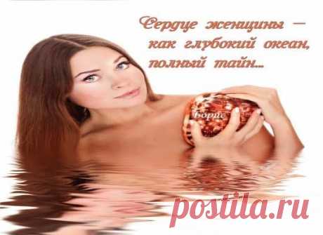 (3) Demir Cenk