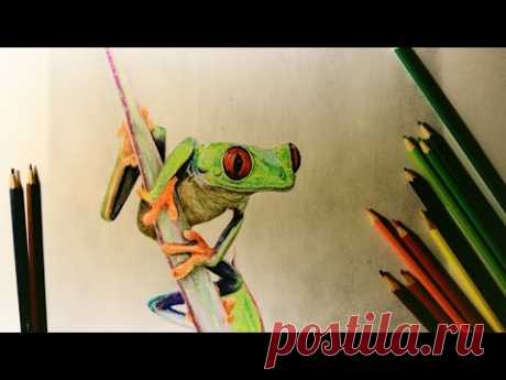 Простой рисунок.Как нарисовать лягушку . How to draw a frog .