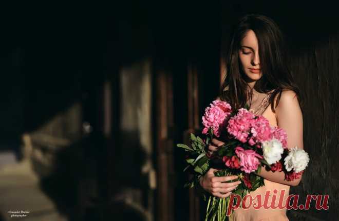 Вселенная хризантем | Калейдоскоп новостей | Яндекс Дзен