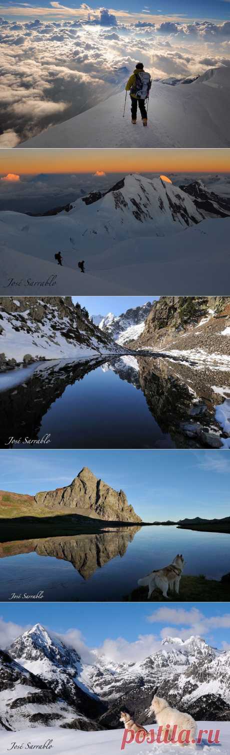 Фото и рисунки, арт и креативная реклама