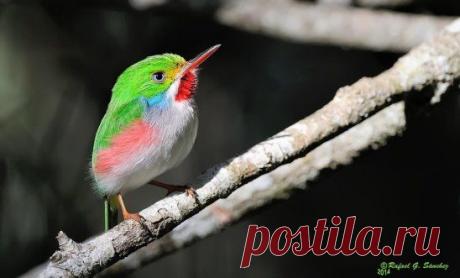 Одноклассники