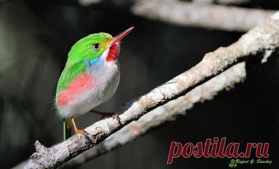 Одноклассники